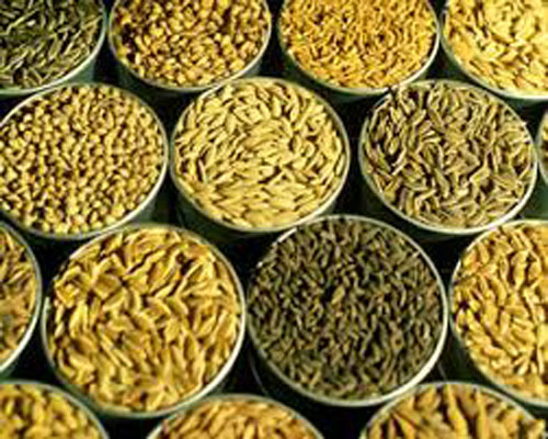 Rice Grading
